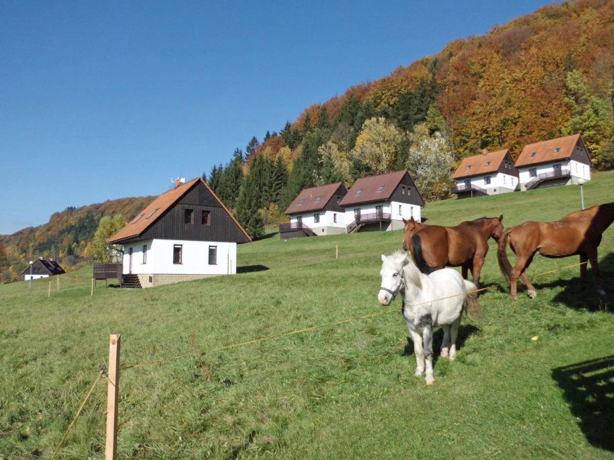 Holiday Home Starkov By Interhome Екстер'єр фото