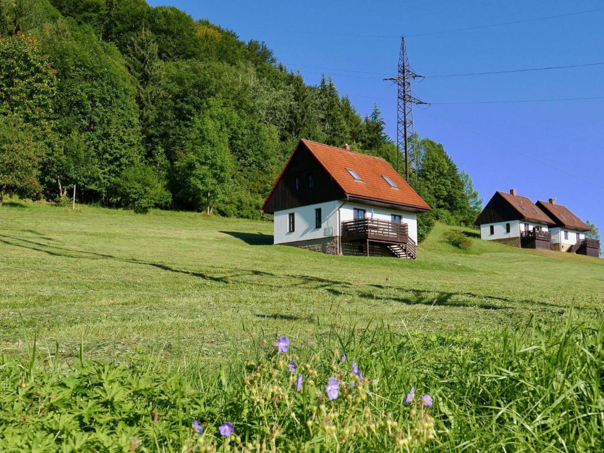 Holiday Home Starkov By Interhome Екстер'єр фото
