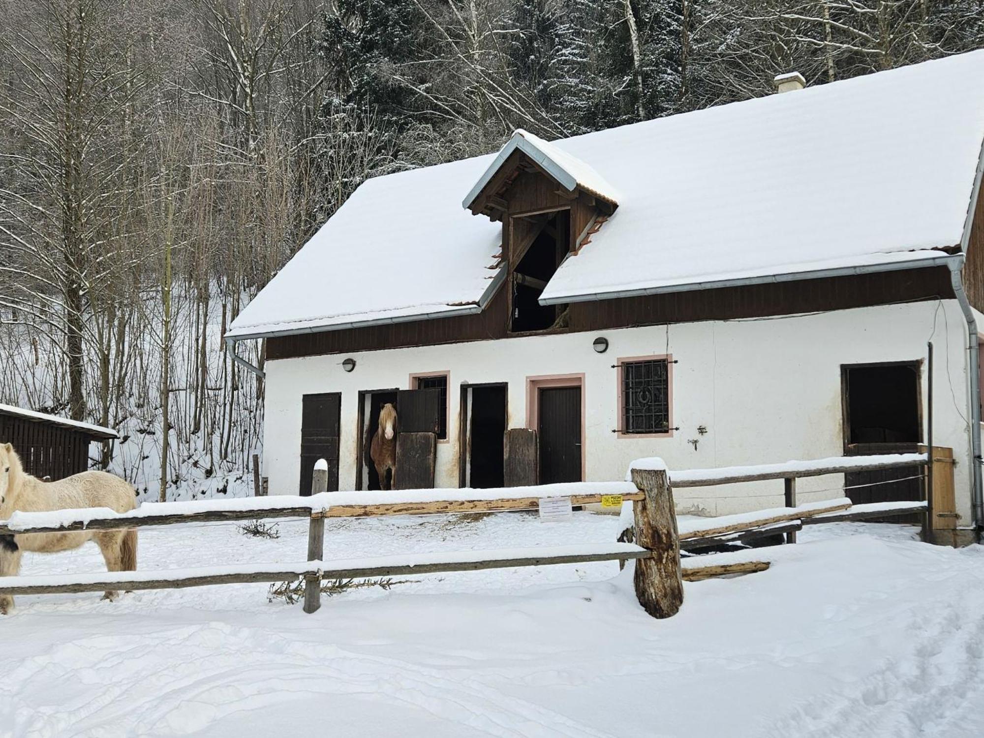 Holiday Home Starkov By Interhome Екстер'єр фото